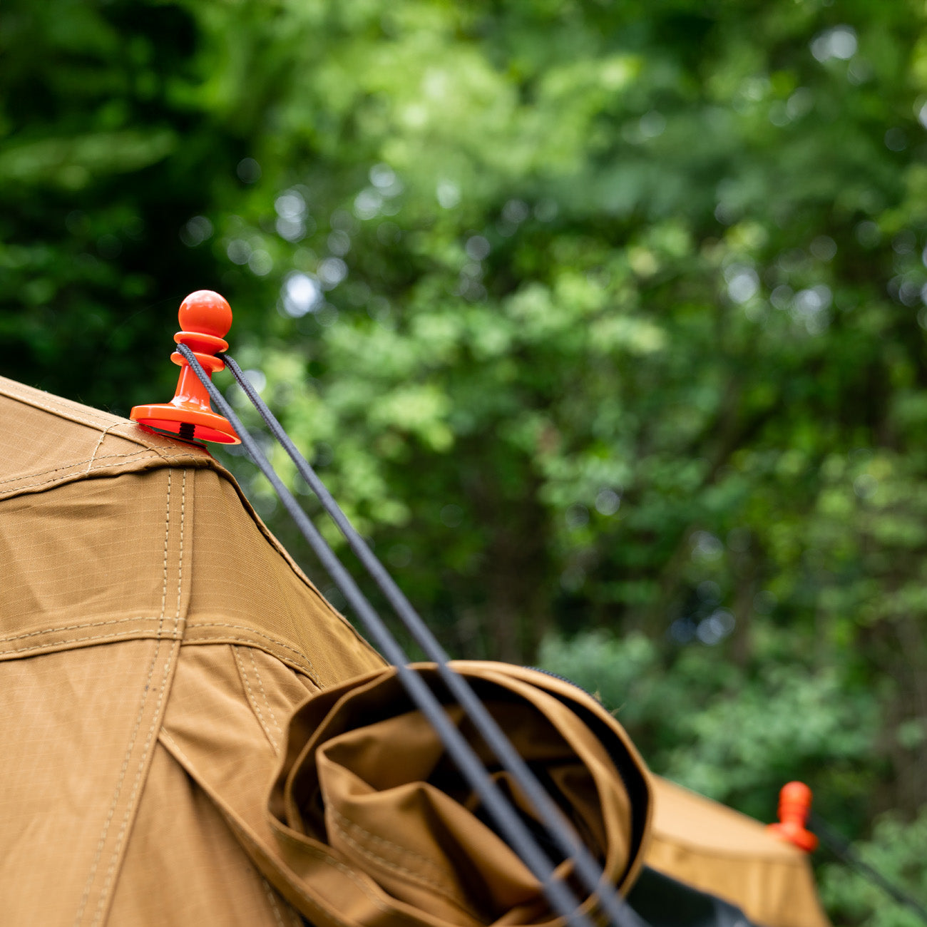 Discovery Rooftop Tent