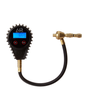 ARB E-Z Digital Deflator Digital Gauge