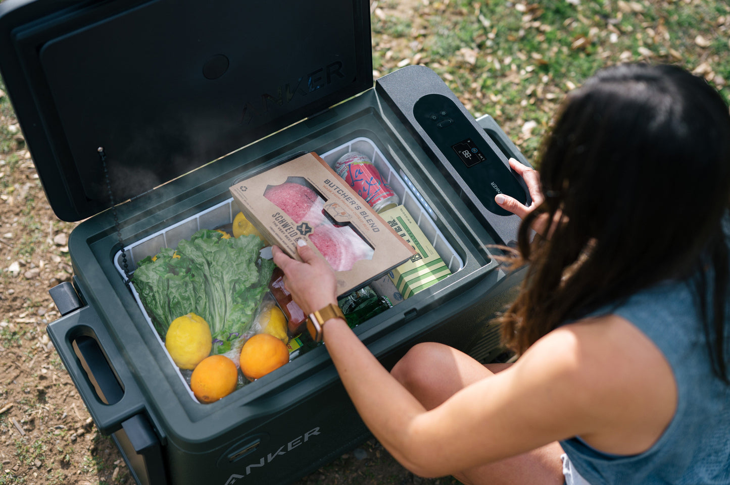 Anker EverFrost 30